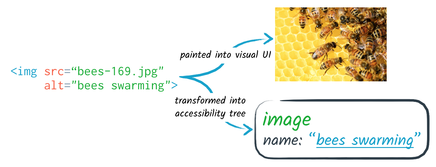 Native HTML elements are implicitly mapped to accessibility APIs. For example, an image element will automatically be mapped to an accessibility node with a role of 'image' and a label based on the alt attribute.